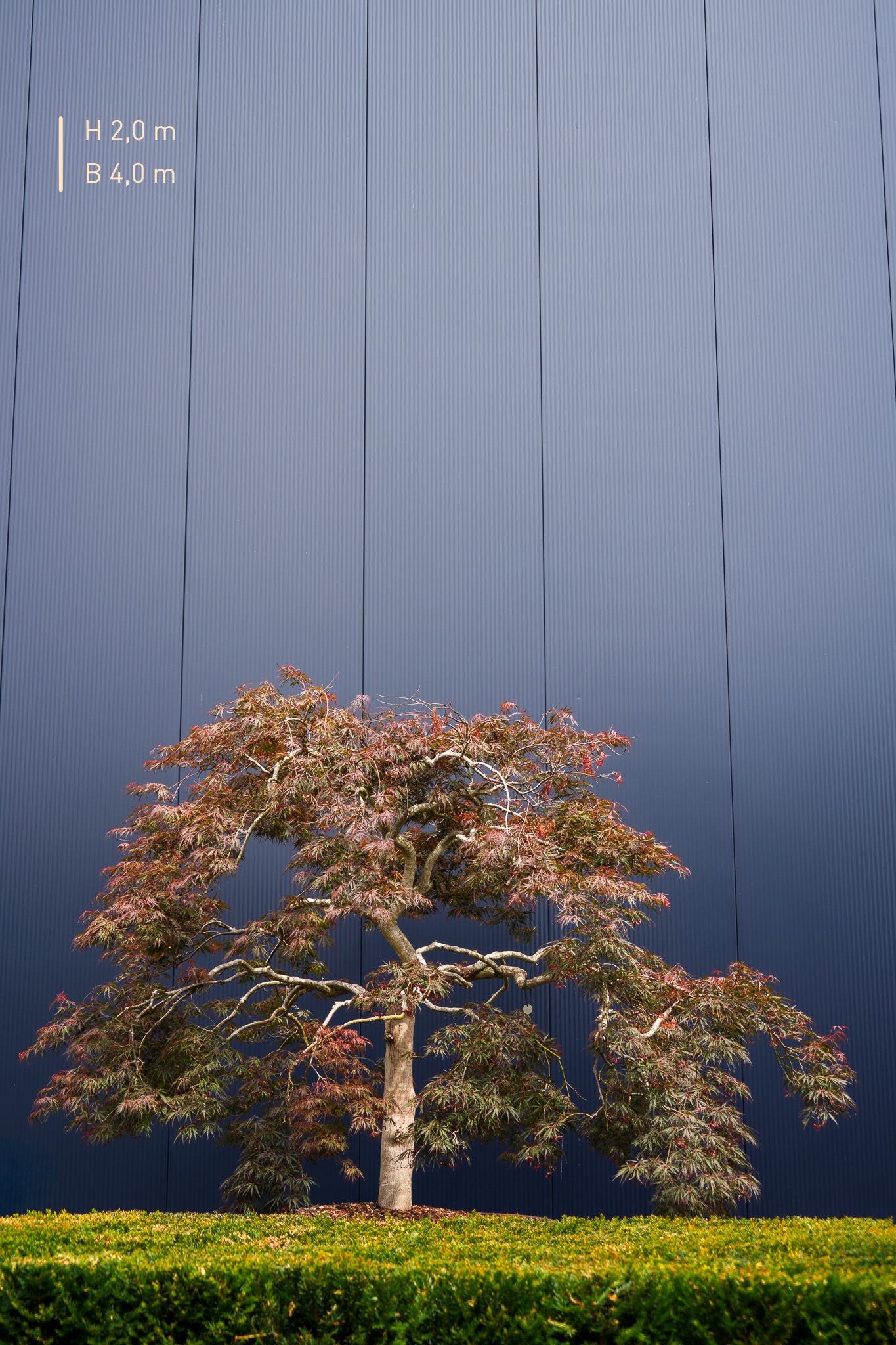 200416